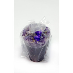 Arraza Brujeria Cirio Celofan