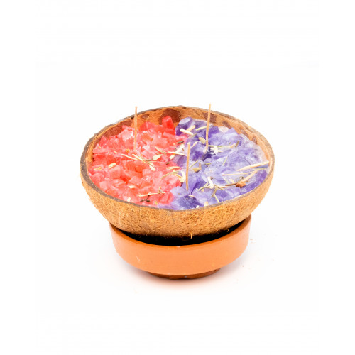 Coconutdestroy Everything Coconut