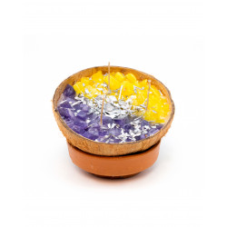 Coconutagainst Damage Coconut