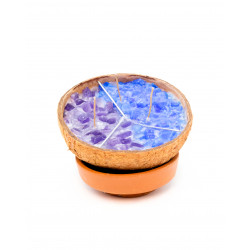 Coconutoshosi Coconut