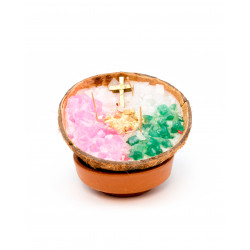 Coconuthealth 2 Coconut