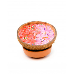 Coconutcome To Me Coconut