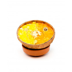 Coconutmoney Drawing Pursuits Coconut