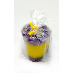 Against Damages Celofan