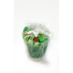 Levanta Negocios Cirio Celofan