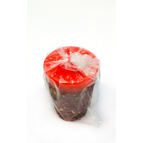 Rosas Africanas Cirio Celofan