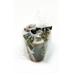 Separate Lovers Celofan