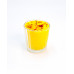 Vaso Cruz Yellow Day Of The Dead
